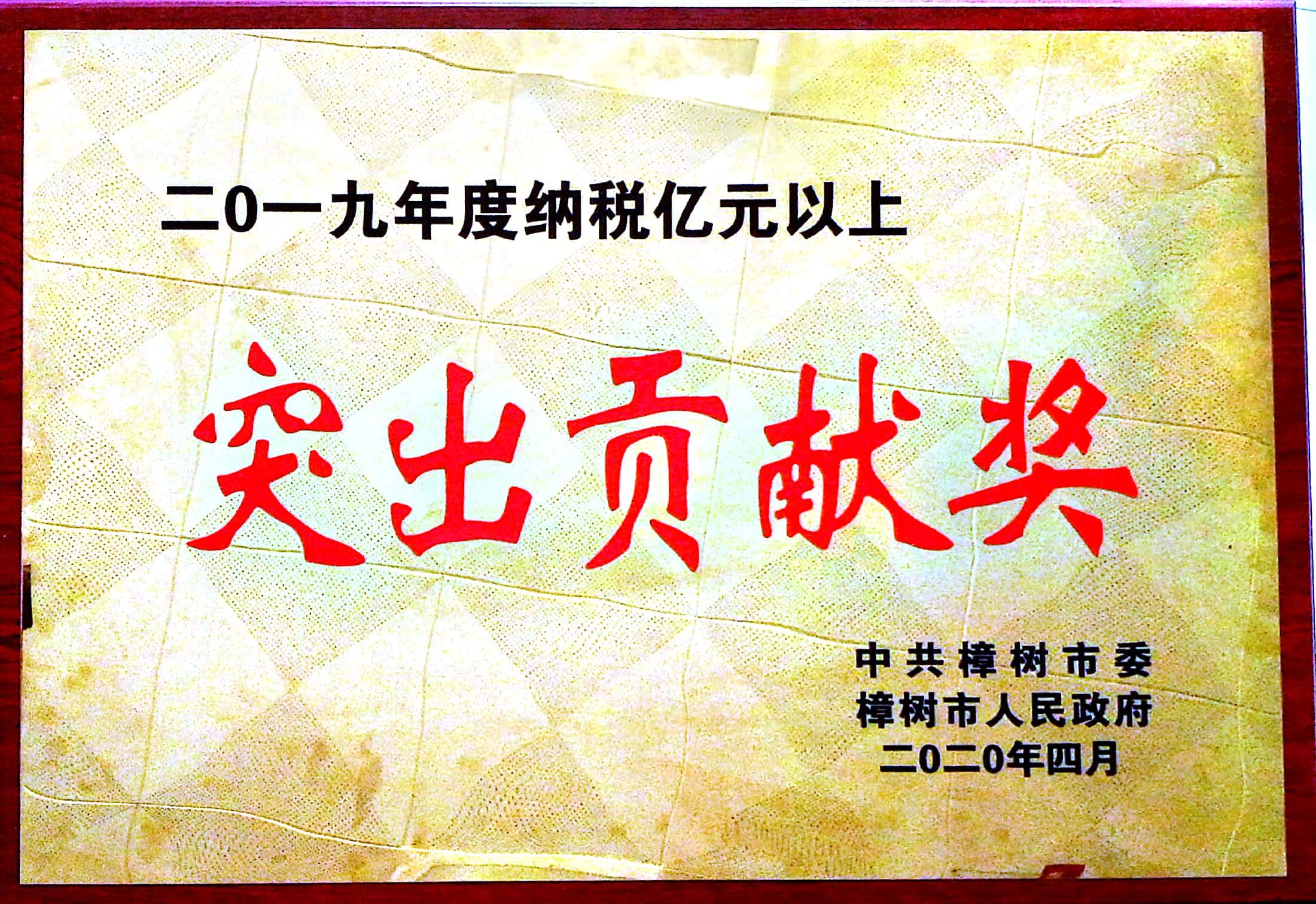 2019年度納稅億元以上 突出貢獻(xiàn)獎