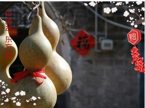 “中國年東方韻”完美收官萬幅年照刻上春節烙印